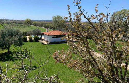 Casa La Vida - Foto 34