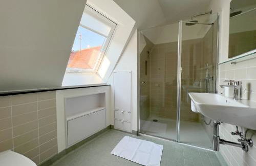 Schönes Single Dachgeschoss-Apartment mit Mainblick - Foto 11