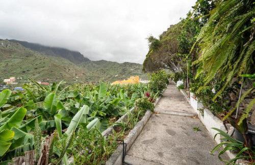 La Estrella - Foto 31