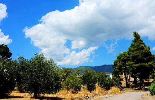 Iliahtida Apartments - Photo 10