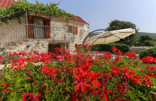Home Sweet Home traditional Dalmatian house with pool - Photo 24
