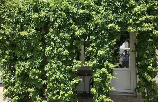 Maraština Suites - Foto 27