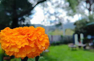 Villa Ardilla (La Adrada) - Foto 36