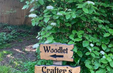 Crafter's Retreat luxury cabin on the Norfolk Cambridgeshire border - Foto 9