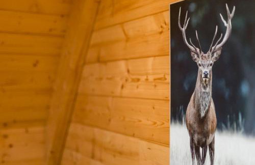 Wood Fairy - Foto 39