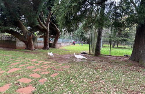 Quiet Place - Foto 50