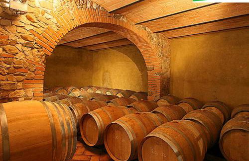 La Cerreta - Terme di Sassetta - Foto 23