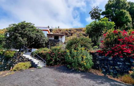 El Níspero - Foto 11