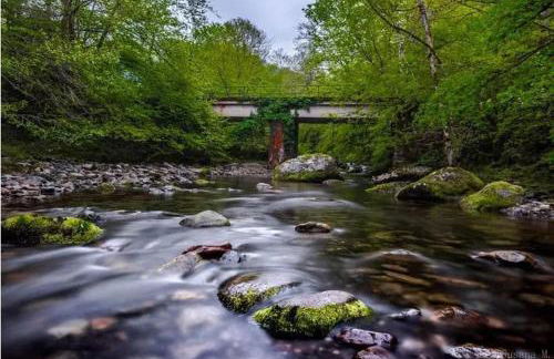 Casa rural La Bárcena Saja - Foto 10