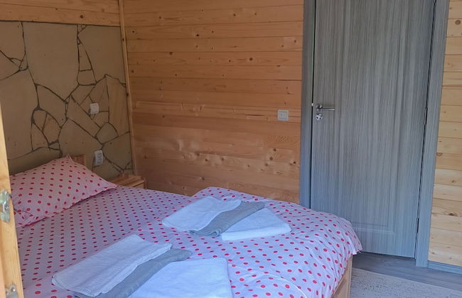 ART House Transylvania Sibiu - Foto 3