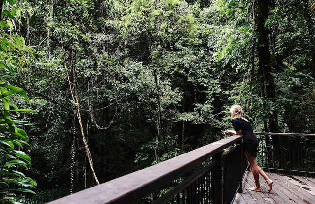 Daintree Ecolodge - Photo 50