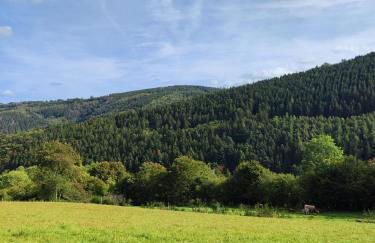 Wohlfühloase Eifelsteig - Foto 31