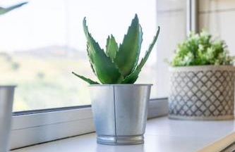 Casa da Tia Douro - Foto 46