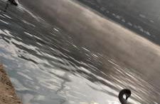 Charmant Studio sur cour à LYON 9e Mont d'or - Foto 28