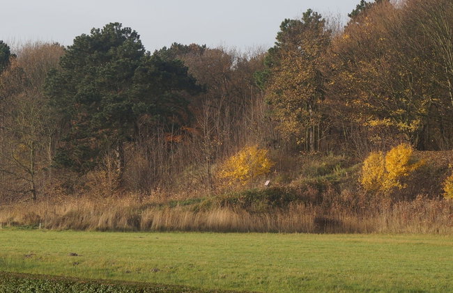 Holiday Home in Noordwijk Near Beach - Photo 19