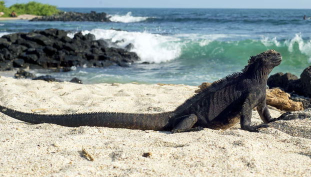 Santa Cruz Island Boat Tour - Photo 2
