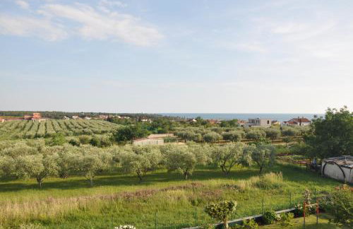 Apartments Rosa - Foto 25