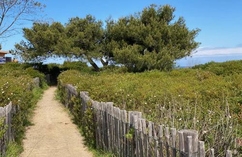 Appartement Dolce Farniente Corse Lozari - Foto 16