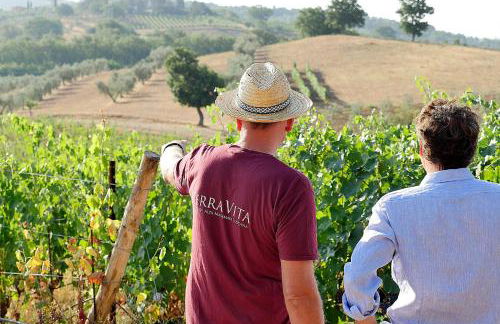 TerraVita Winery & Boutique Apartments - Foto 18