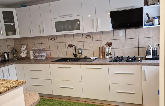 Bucovina-mountainhouse-5br-fireplace-hottub-wifi - Foto 8