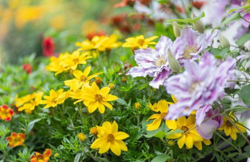 Ferienwohnung Am Walde 35177 - Foto 10