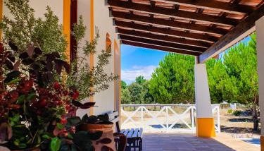 Monte do Brejinho de Água - Foto 4