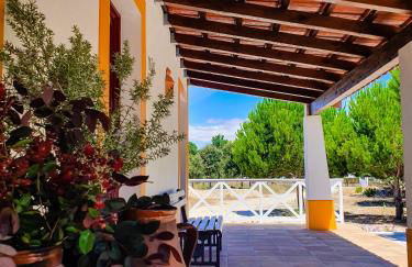 Monte do Brejinho de Água - Foto 4