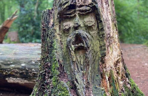 Haus Seerose direkt am Harkebrügger See Neubau! - Foto 23