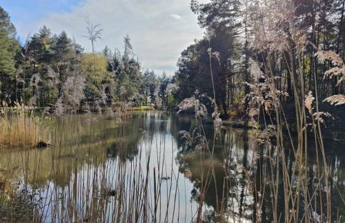 Charnay Sologne - Calme Charme Clim et Confort Piscine à 5 mn du péage Vierzon centre A71 - Foto 80