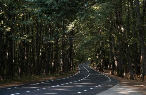 Villa Giardino Boschivo - Irpinia - Foto 24