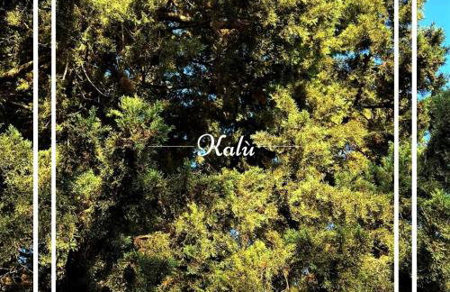 Kalù - Photo 27