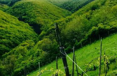 Ferienwohnungen Lithos - Foto 13