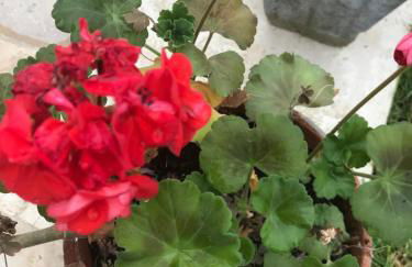 La Huberdière - Foto 23