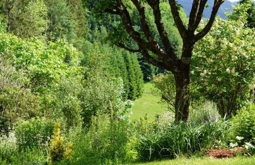 Haus Wiesenruhe - Foto 8