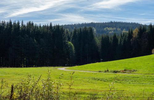 Chalet Flanitzmühle - Foto 19