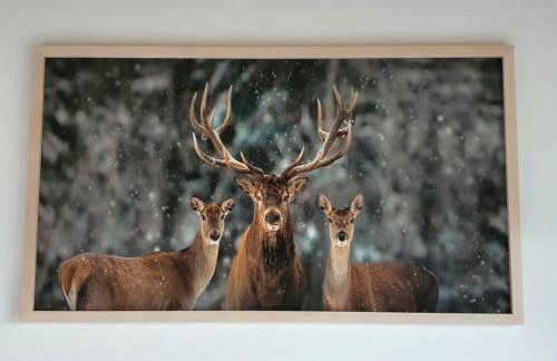 Dom Słońce PRYWATNE JACUZZI ELEKTRYCZNE W CENIE, Jezioro Solińskie, Dom na Wzgórzu SŁOŃCE, rowery, sauna - Foto 35