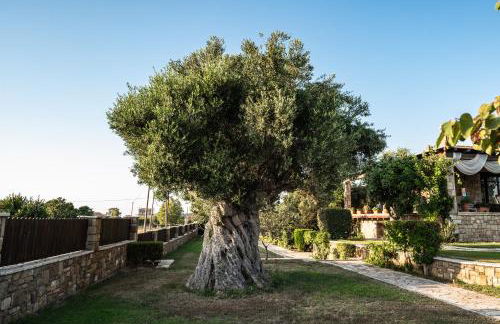 Villa Belvedere - Photo 80