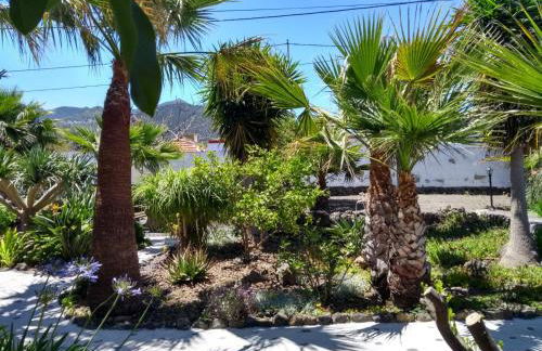 Finca Primavera - Foto 24