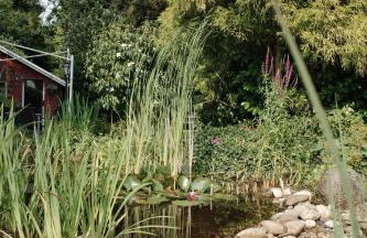 Appartement 2 Engel und Co Ferienwohnungen Hello Holidays - Foto 16