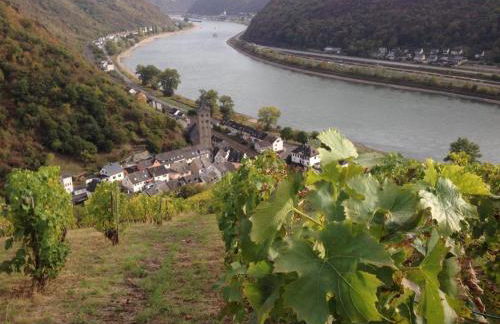 Loreleyquartier - Foto 15