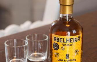 Vila Marta - Canário da Terra - Photo 20