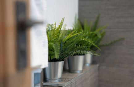 Bronte Apartment - Dales - Lakes - Kirkby Lonsdale - Foto 32