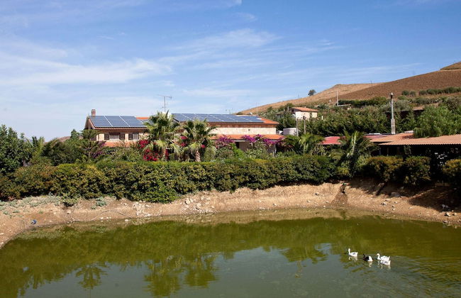 Villa in Alia With Pool & Olive Views - Photo 20