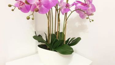 Manchester Holiday Apartment - Foto 2