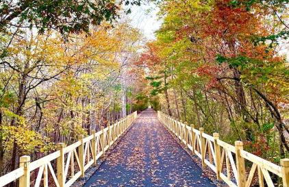 Charming Cabin with Incredible Mountain Views - Foto 47