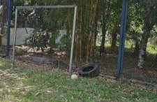 Sitio na floresta px a Belém - Photo 10