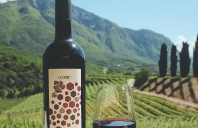 Agritur Casteller - Photo 64