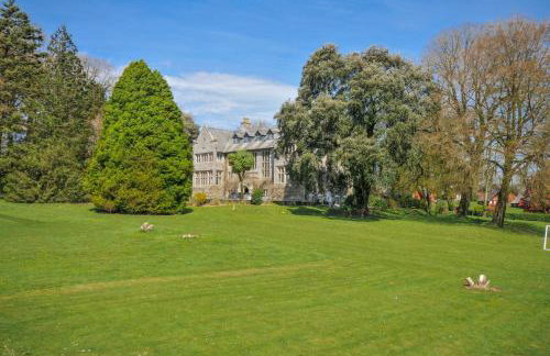 Cornish Woodland Retreat - Photo 2