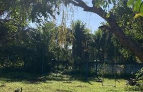 Sítio Luz das Estrelas - Foto 36