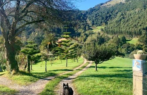 PequeñoCabárceno - Foto 58